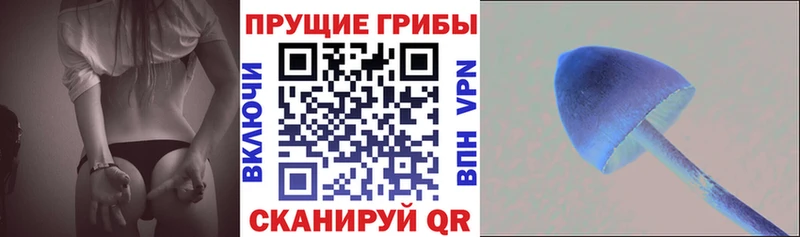 Псилоцибиновые грибы Cubensis  купить наркотик  Сретенск 